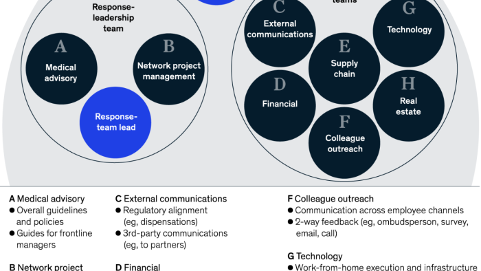 Krisen-Management by McKinsey